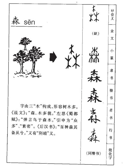 森 五行|森字五行属什么